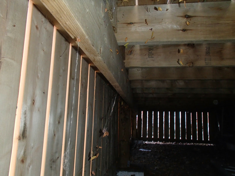 home inspection crawl space